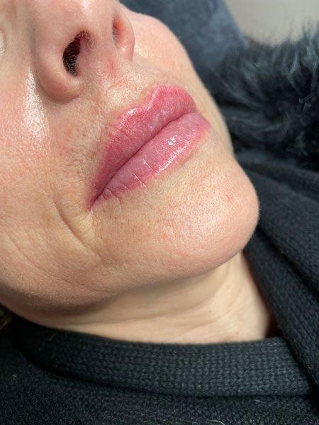 Tattoo anikbeautymed levres 04